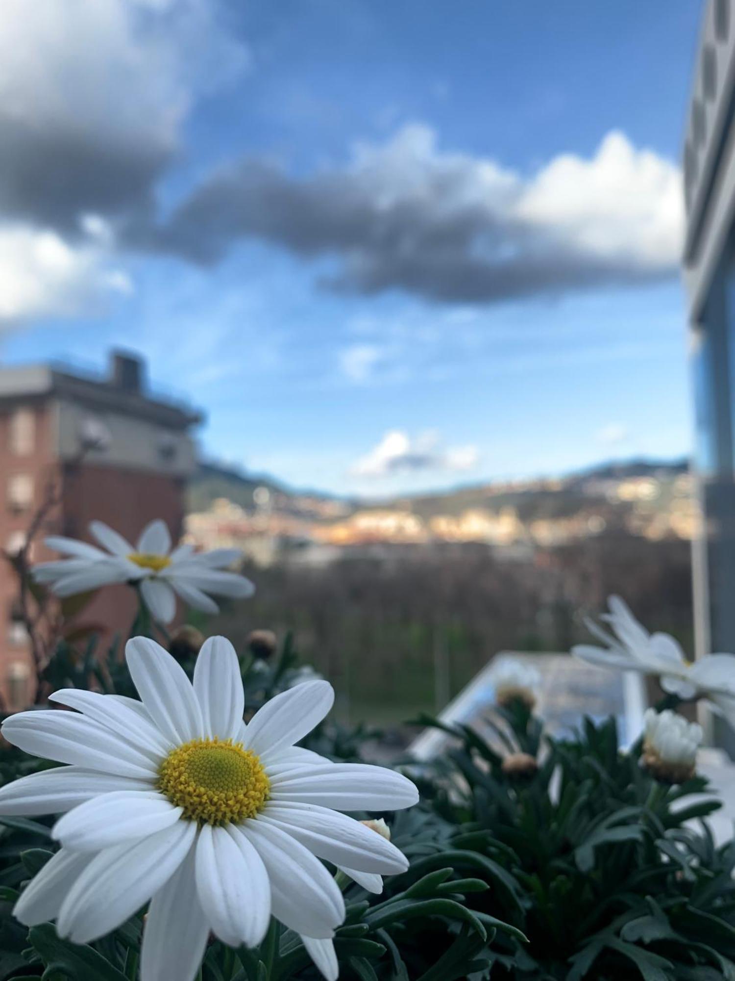 Apartamento La Finestra Sul Parco *